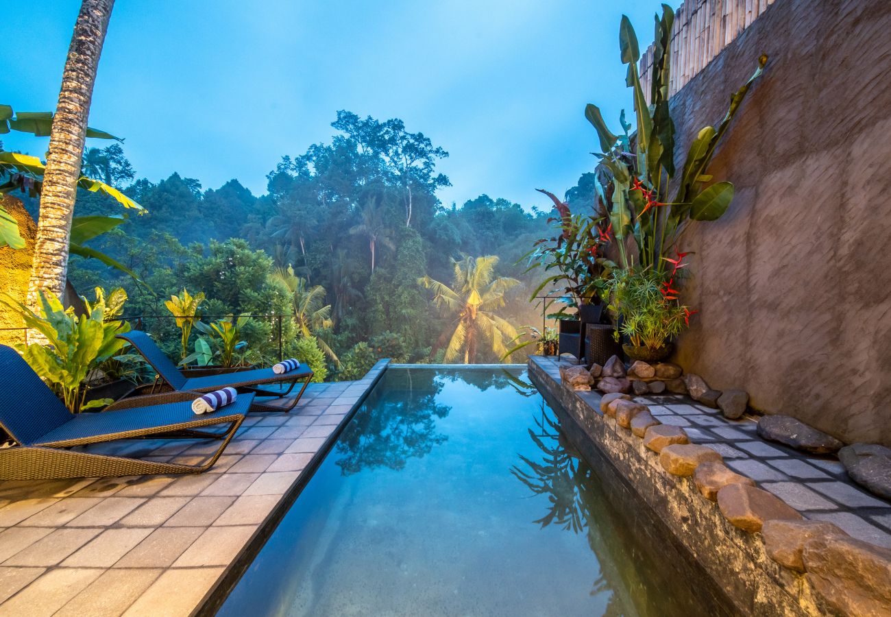 Villa in Ubud - UBUD CANYON