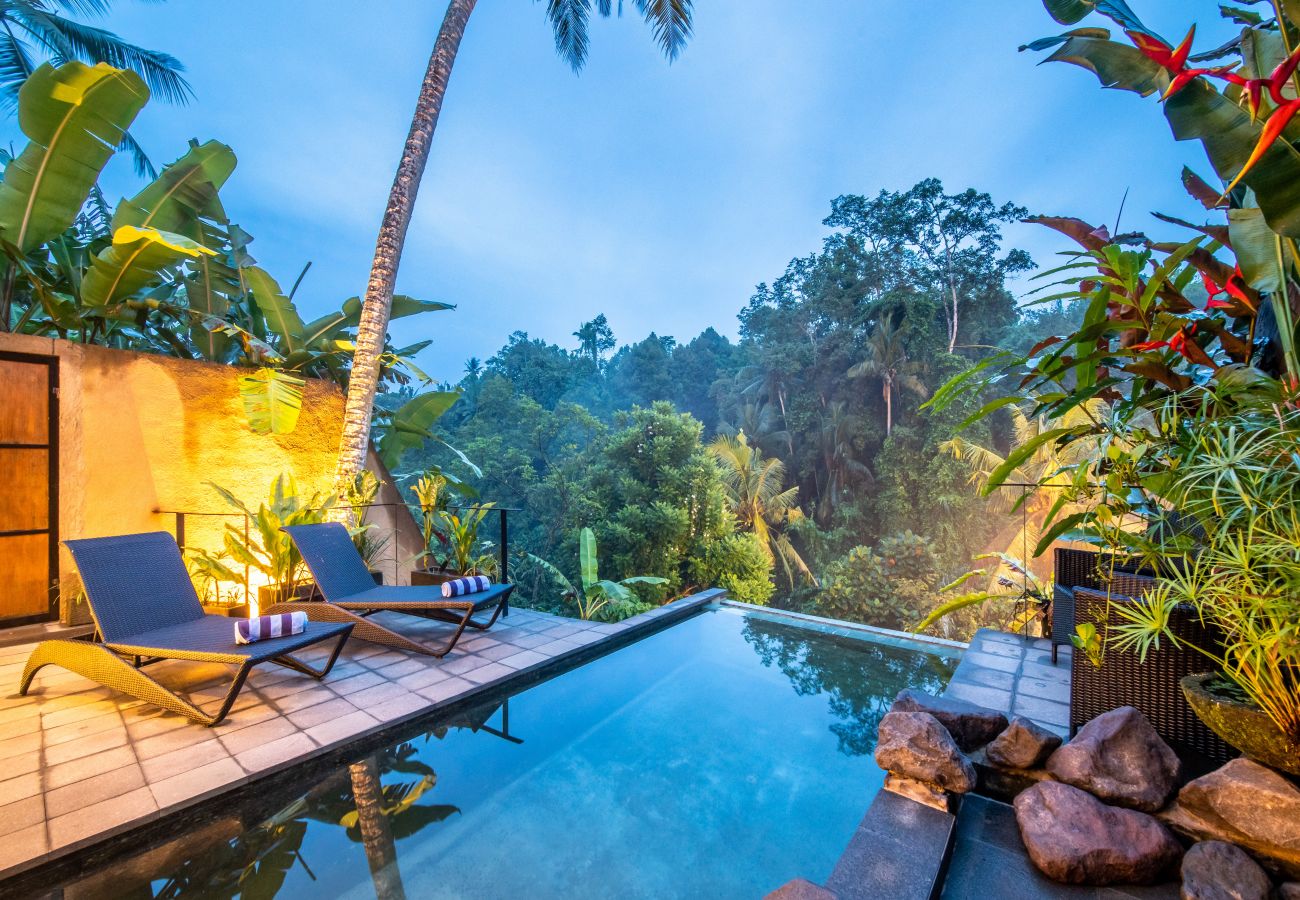 Villa in Ubud - UBUD CANYON